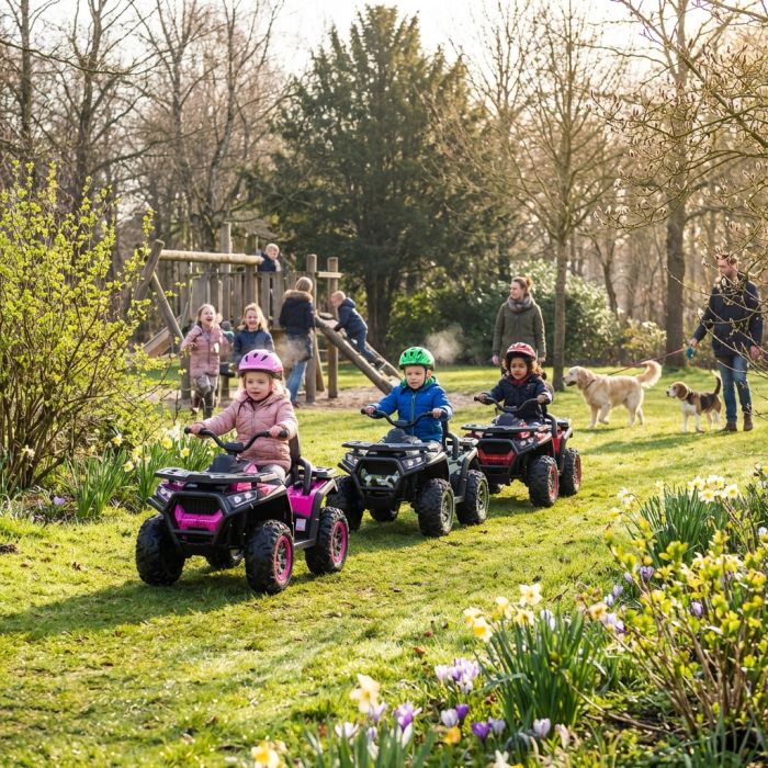 Elektrische kinderquad Mamba 24V Roze met RC