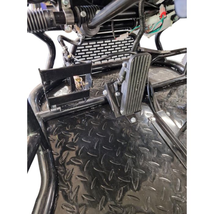 Elektrische Buggy Gobi Blauw 2 persoons 60V 2000W