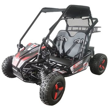 Elektrische Buggy Gobi Rood 2 persoons 60V 2000W