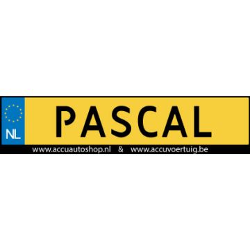 Kenteken stickerset NL op eigen naam & Rijbewijs