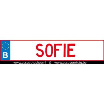 Kenteken stickerset BE op eigen naam & rijbewijs