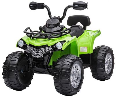 Elektrische kinderquad Enduro Groen 12V