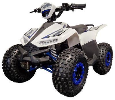 Elektrische kinderquad Midi Typhoon Blauw 1200W 48V Brushless LCD-Scherm